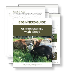 Getting Started with Sheep - A Beginners Guide