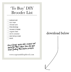 to buy chick brooder checklist