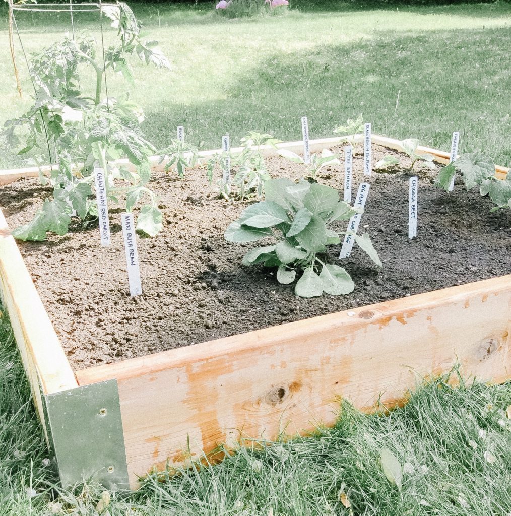 What I learned about the square foot garden method