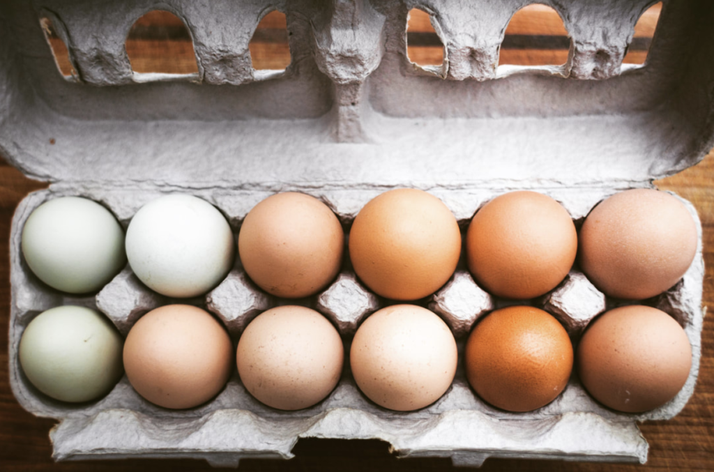 12 favourite ways to use excess eggs on the homestead