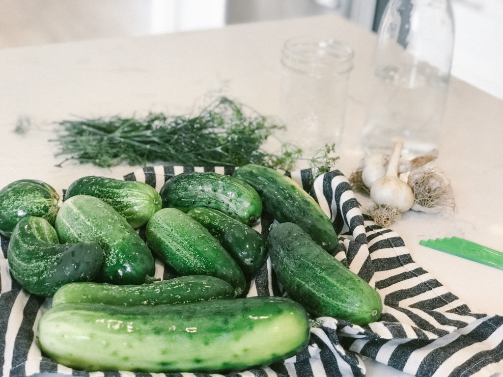 how to make garlic dill pickles 11