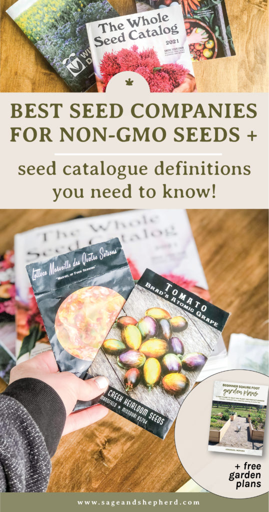 Best seed companies for non-gmo seed + seed catalogue definitions you need to know