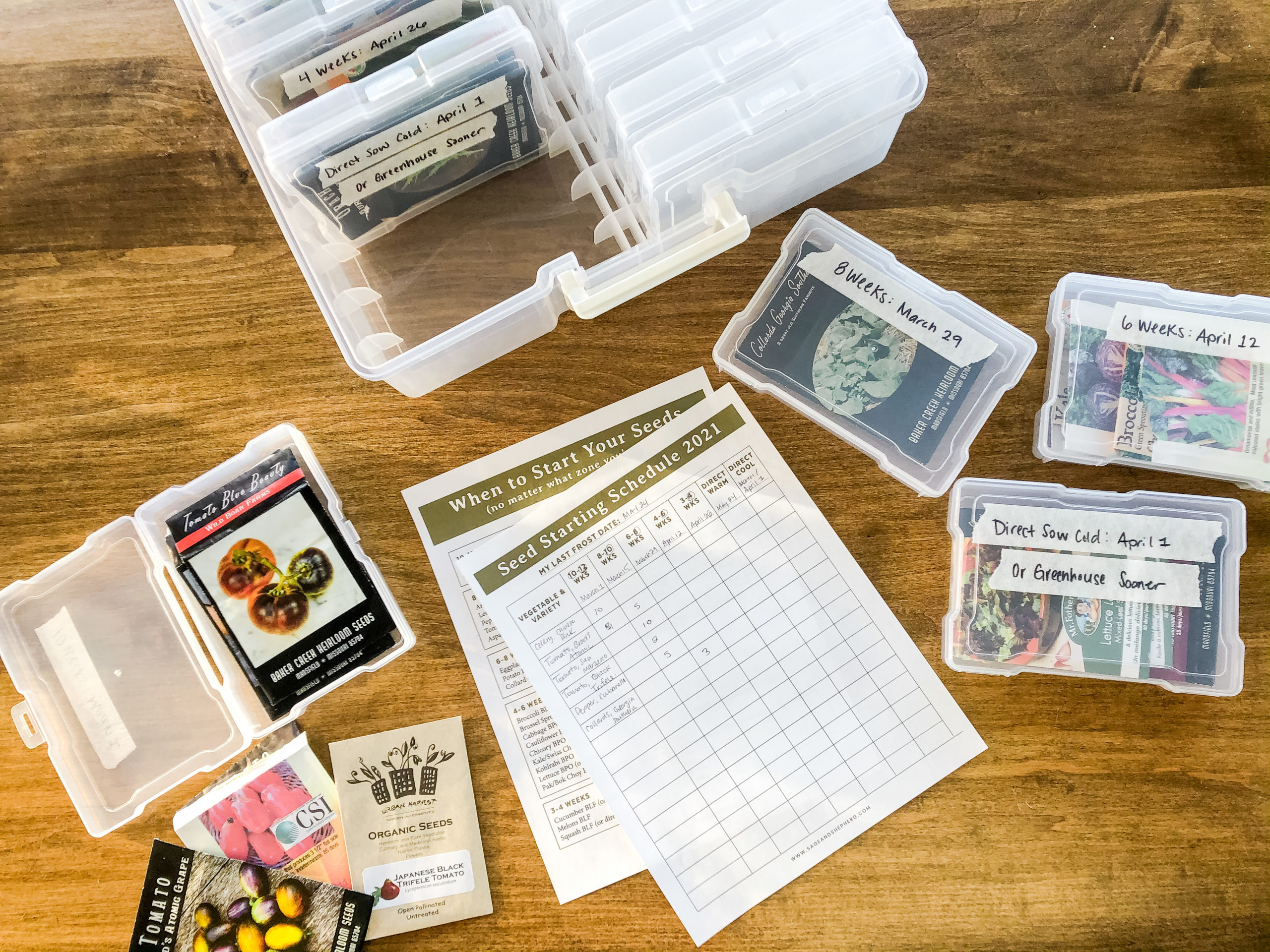 DIY Seed Organization & My Free Seed Starting Schedule Printable - Sage ...