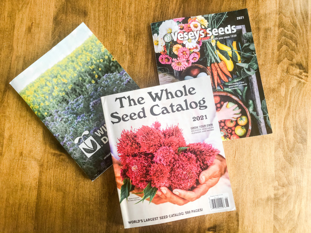 best places to order seeds and seed catalogue definitions you need to know