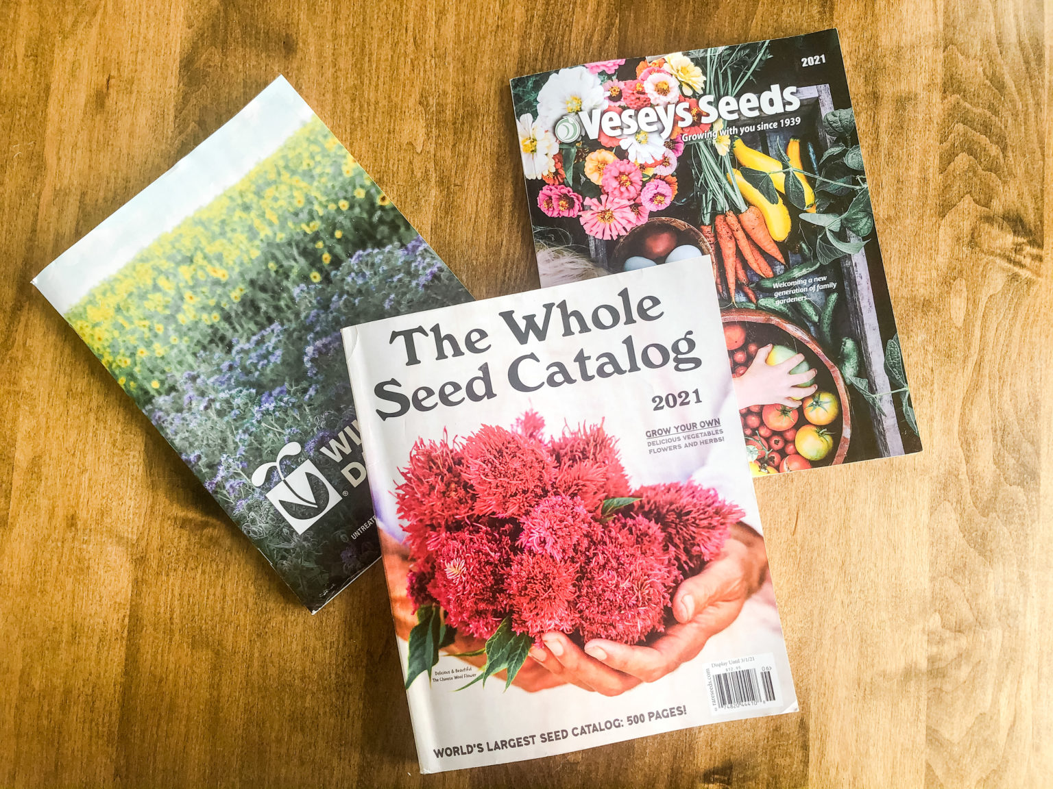 Best Places to Order Non-GMO Seeds + Seed Catalogue Definitions You ...