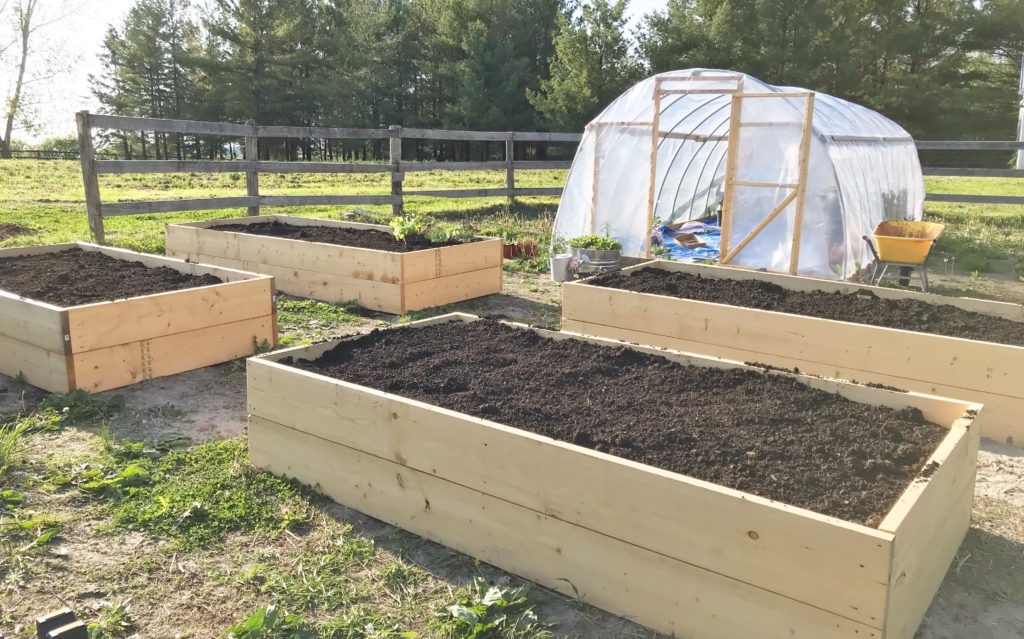 how to homestead - build raised garden beds