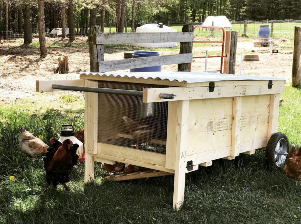 how to homestead - build a mobile chicken coop