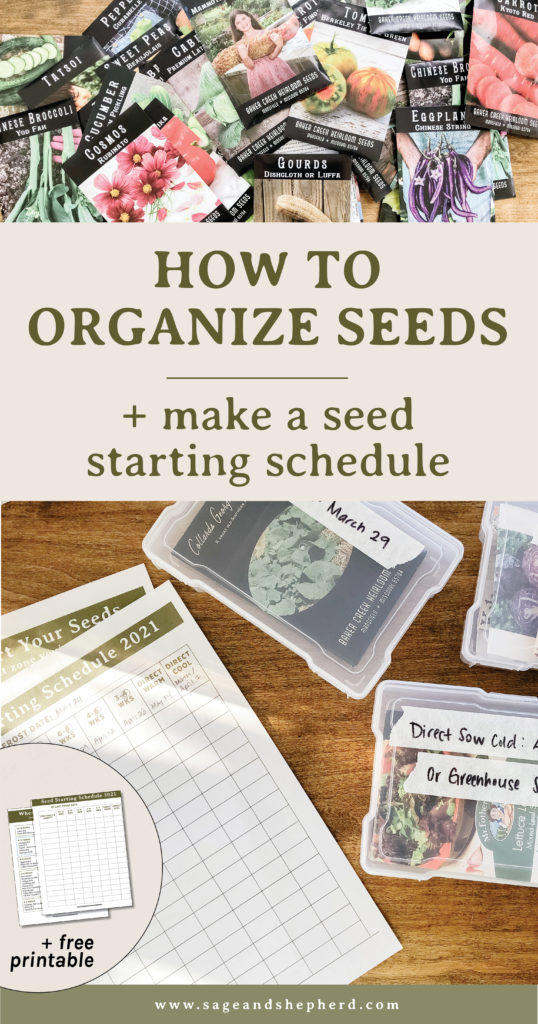 seed organization and free seed starting schedule pritnable