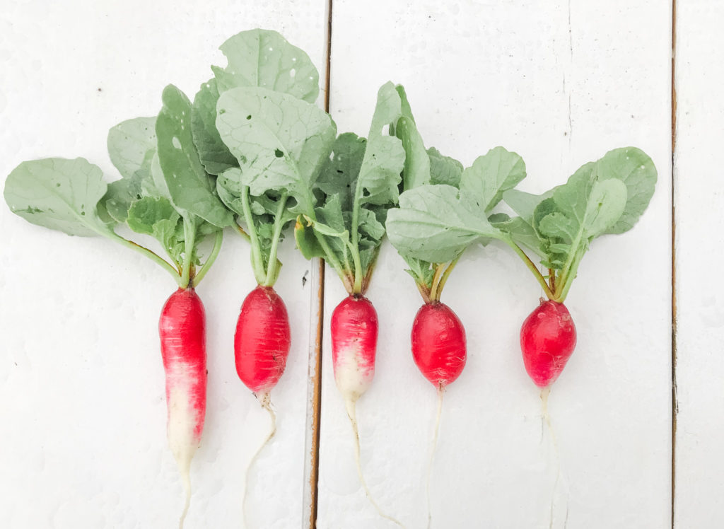 8 easiest vegetables to grow for beginners