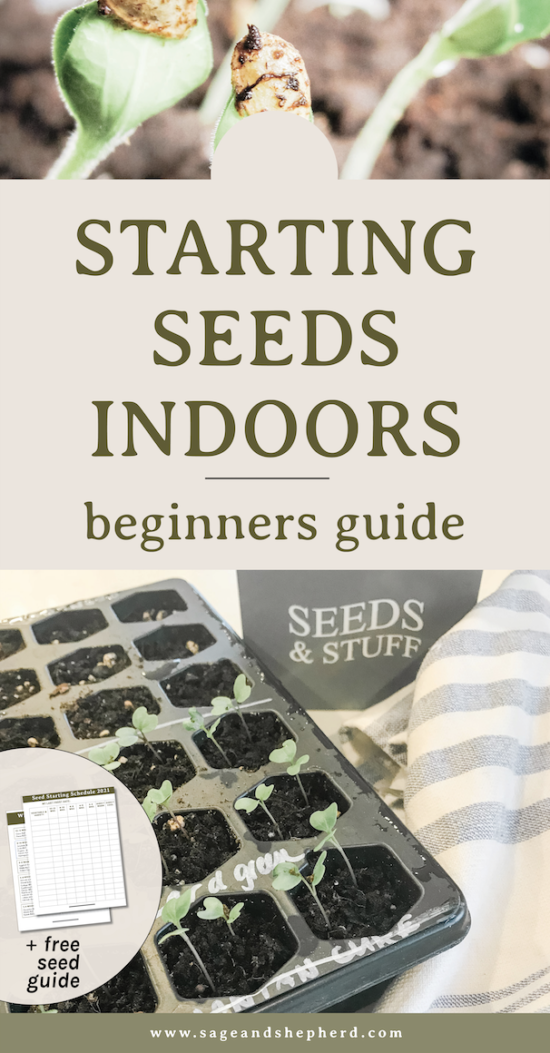 The Beginners Guide to Starting Seeds Indoors - Sage & Shepherd Blog