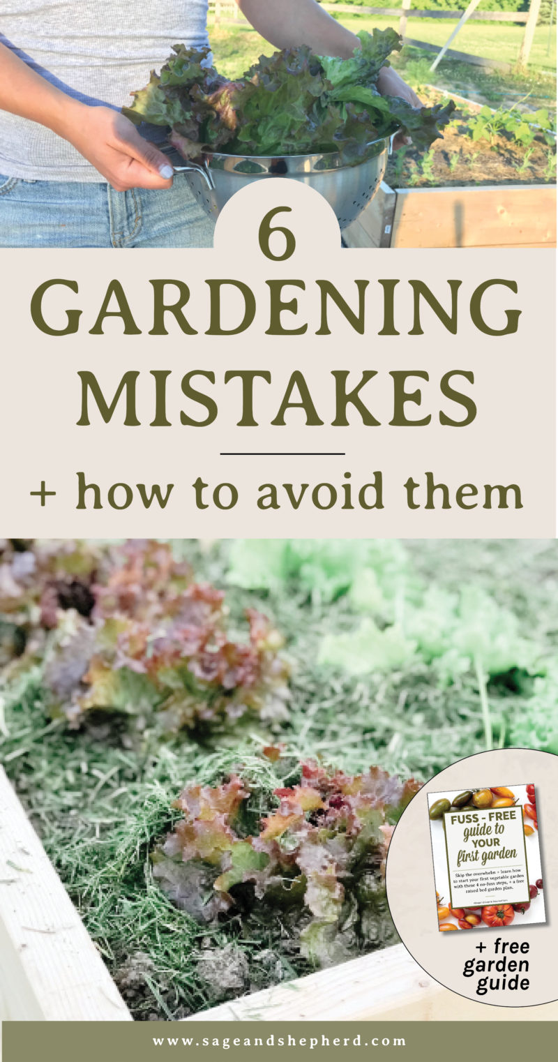 Top 6 Gardening Mistakes & How to Avoid Them - Sage & Shepherd Blog