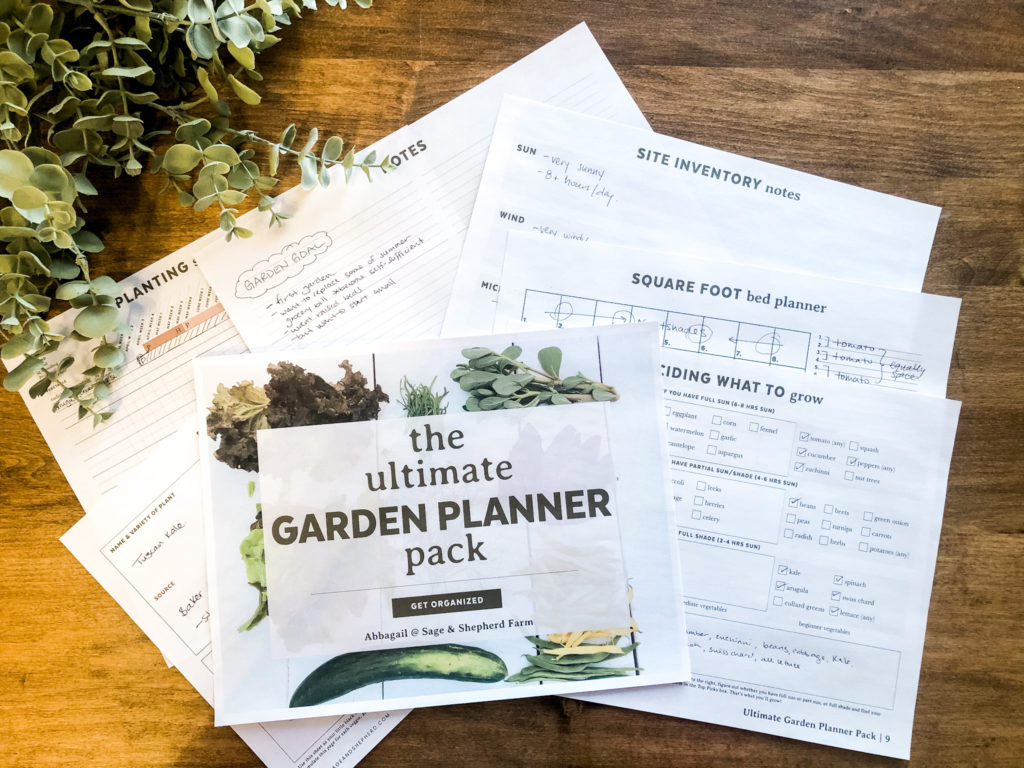 garden planning step by step