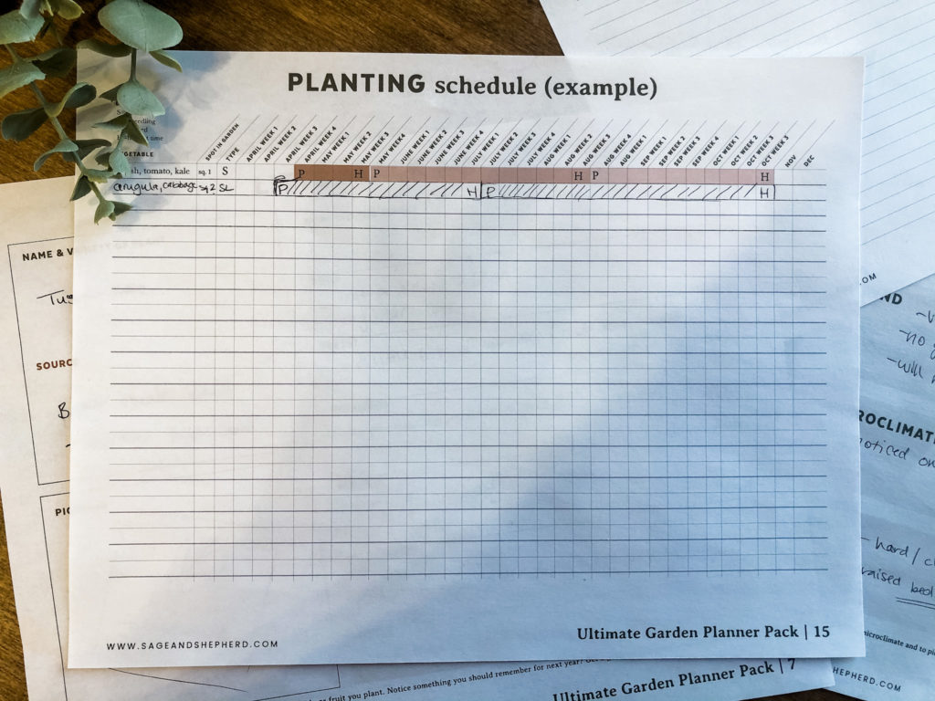 garden planning step by step