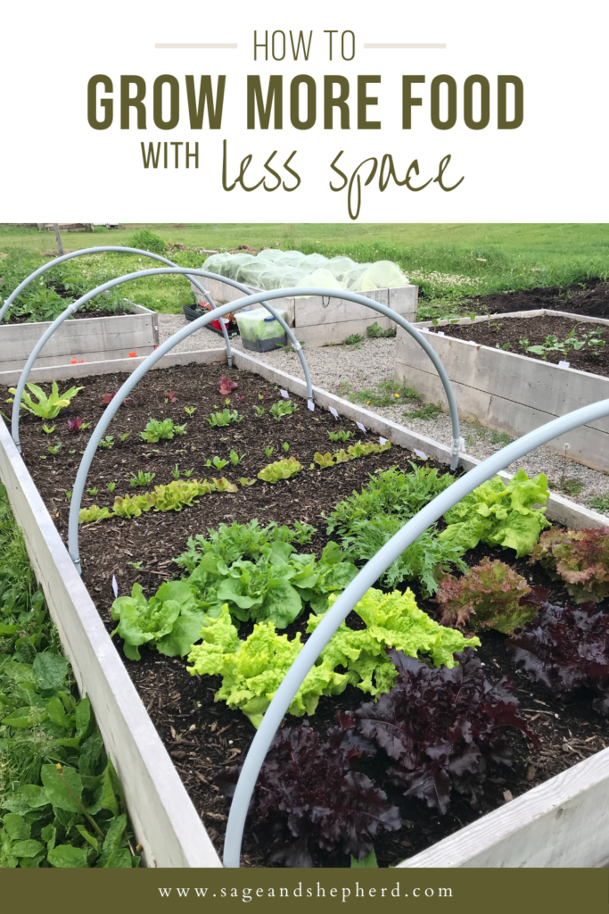 5 secrets for growing more food in less space