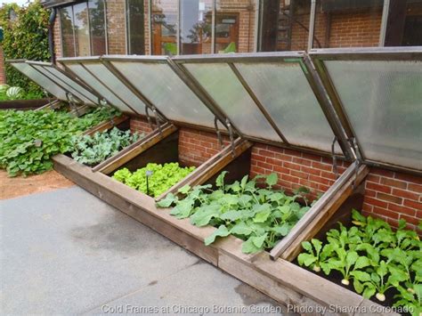 what is a cold frame