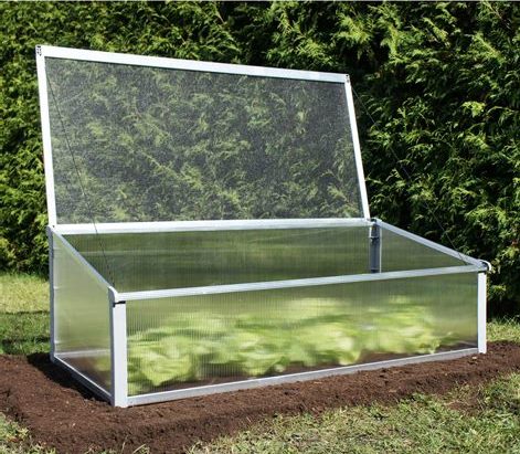 what is a cold frame